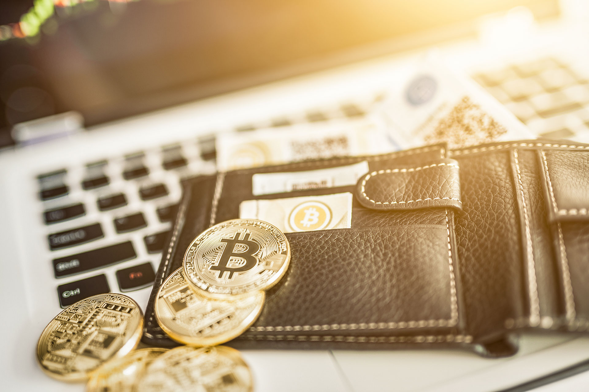 Wallet support bitcoin litecoin advantages of bitcoin cash